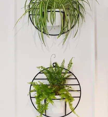 Navigator Spa-baseny-nadmorskie Tarasy